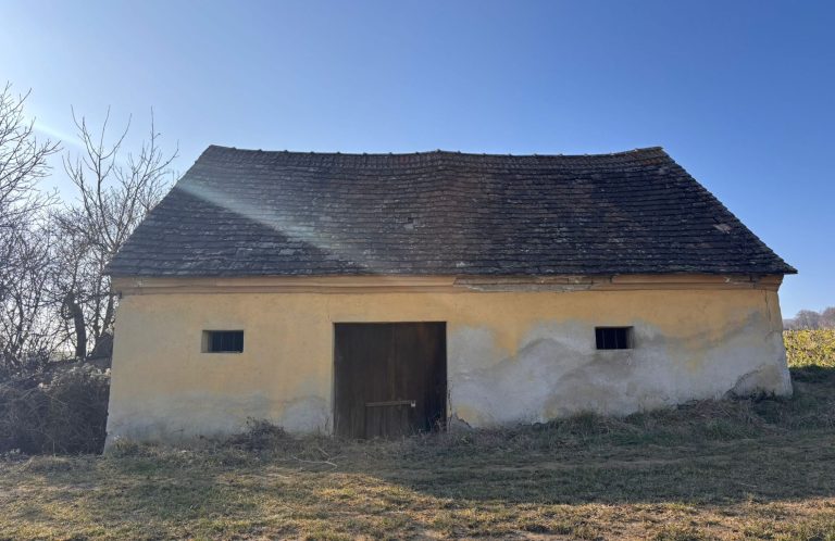 Gelbes, einfaches Presshaus mit Satteldach und Weinkeller in ländlicher Umgebung.